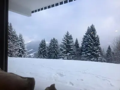 a view of a snow covered forest from a window at Résidence Les Planes - Planes 2 MAE-5206 in Saint-Gervais-les-Bains
