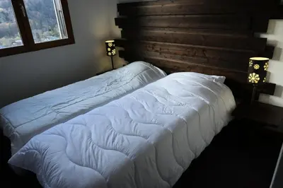 two white beds in a bedroom with a window at Résidence Les Fermes De Saint Gervais - Fermes de Saint Gervais B20 MAE-5220 in Saint-Gervais-les-Bains