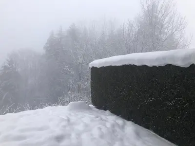 a wall covered in snow with trees in the background at Petite Marmotte in Saint-Gervais-les-Bains