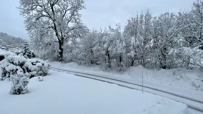 a road covered in snow with trees in the background at Les Comtes de Savoie - Appartement rénové proche du centre de Megève avec vue sur le Mont d'Arbois in Megève