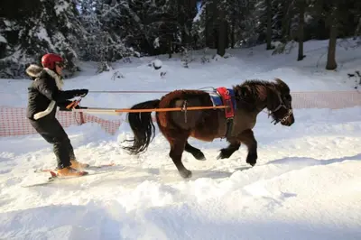 a woman is pulling a horse in the snow at GREEN APPLE CARROZ Duplex WIFI Garage Balcon-Sud Vue Montagne in Les Carroz d'Araches