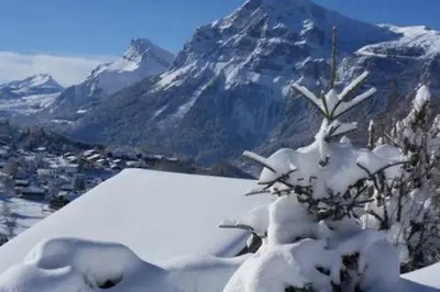 a snow covered plant on top of a mountain at Les Carroz Alpine Chalet - central in Les Carroz d'Araches