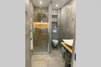 a bathroom with a shower and a toilet at *** Le Refuge *** Logement standing Megève in Demi-Quartier