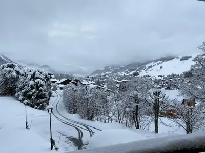 a village covered in snow with trees and roads at CHALET 