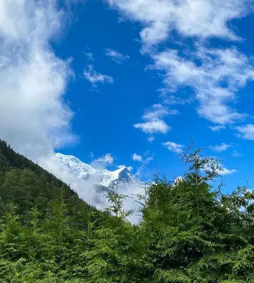 a snow covered mountain in the sky with trees at Appart'hôtel Bellamy Chamonix in Chamonix-Mont-Blanc