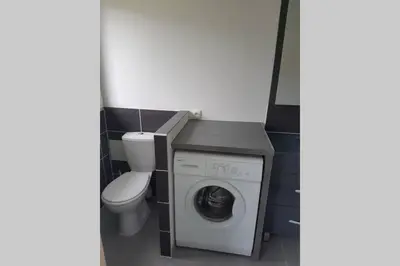 a bathroom with a washing machine and a toilet at maisonnette entre lac de Passy et montagnes in Domancy