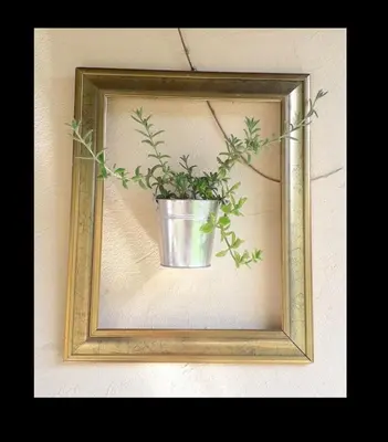 a picture of a plant in a pot on a wall at Charmant Mazot in Saint-Gervais-les-Bains