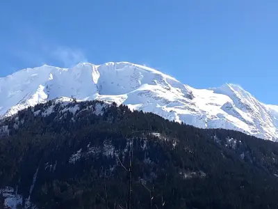 a snow covered mountain with trees in front of it at Charmant Mazot in Saint-Gervais-les-Bains
