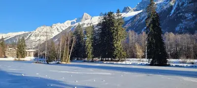a snow covered field with trees and a mountain at studio plein sud vue Mont Blanc CHAMONIX in Chamonix-Mont-Blanc