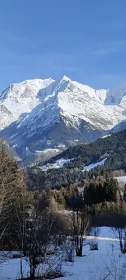 a snow covered mountain with trees in front of it at Appartement idéal été ou hiver, pour skieurs et promeneurs, 4 personnes in Saint-Gervais-les-Bains