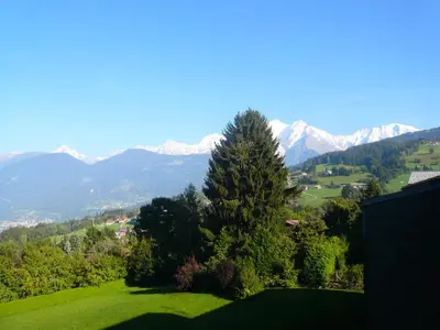 a tree on a green field with mountains in the background at Résidence Les Cristaux Du Haut - Cristaux 51 MAE-5310 in Combloux