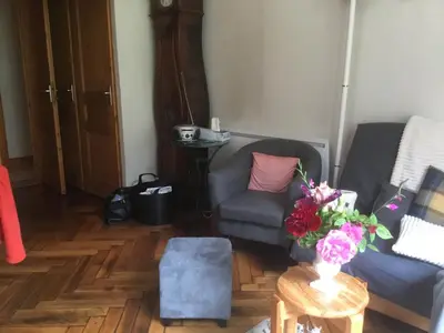 a living room with a blue couch and a vase of flowers at Appartement typique,chaleureux et pratique in Chamonix-Mont-Blanc