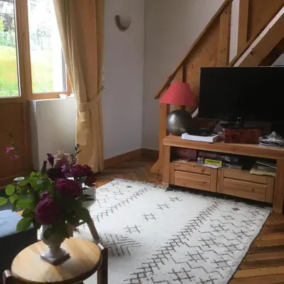 a living room with a television and a vase of flowers on a table at Appartement typique,chaleureux et pratique in Chamonix-Mont-Blanc