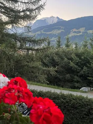 a red flower with a view of a mountain at BARMADZA Mazots de Charme in Demi-Quartier