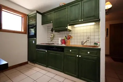 a green kitchen with green cabinets and a sink at Résidence Les Eaux Rousses - Les Eaux Rousses MAE-9964 in Les Houches
