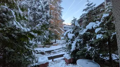 a snow covered garden with trees and bushes at L'alpage in Chamonix-Mont-Blanc