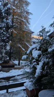 a snow covered garden with a bench and trees at L'alpage in Chamonix-Mont-Blanc