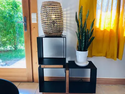 a plant and a vase on a table next to a door at Chalet Cosy in Saint-Gervais-les-Bains