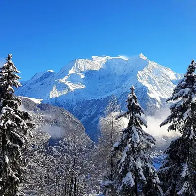 a snow covered mountain with trees in the foreground at Appartement Saint Gervais les Bains vue imprenable Mont Blanc in Saint-Gervais-les-Bains
