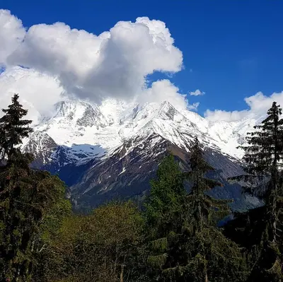 a snow covered mountain with trees in the foreground at Appartement Saint Gervais les Bains vue imprenable Mont Blanc in Saint-Gervais-les-Bains