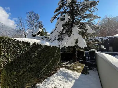 a tree covered in snow next to a hedge at Coquet studio RDC avec terrasse, animaux admis, étang Samoëns - FR-1-629-55 in Samoëns