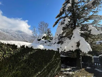a tree covered in snow next to a fence at Coquet studio RDC avec terrasse, animaux admis, étang Samoëns - FR-1-629-55 in Samoëns
