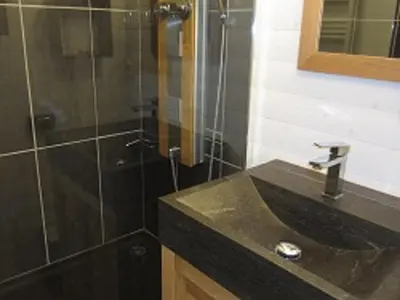 a bathroom with a sink and a shower at Grand studio à Samoëns, animaux admis, parking, proche télécabine - FR-1-629-54 in Samoëns