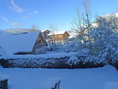 a tree covered in snow in a yard at Studio cosy centre village, animaux admis, parking privatif - FR-1-629-66 in Samoëns