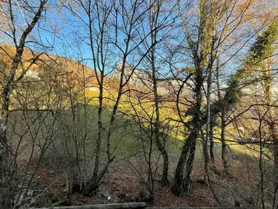 a group of trees with a mountain in the background at Studio calme pour 4 pers. avec terrasse à Samoëns - FR-1-629-30 in Samoëns