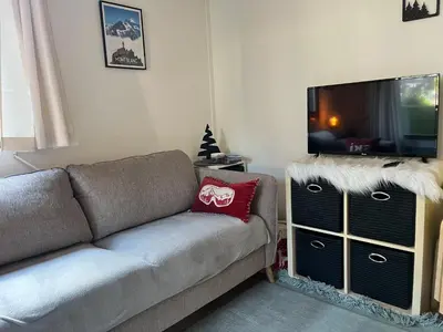 a living room with a couch and a flat screen tv at Studio lumineux au centre, jardin, parking, casier à skis - FR-1-624-56 in Samoëns