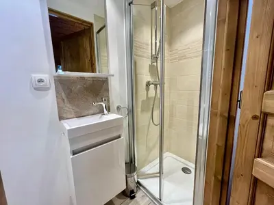 a bathroom with a sink and a shower at Appartement centre village avec balcon et animaux admis - FR-1-624-49 in Samoëns