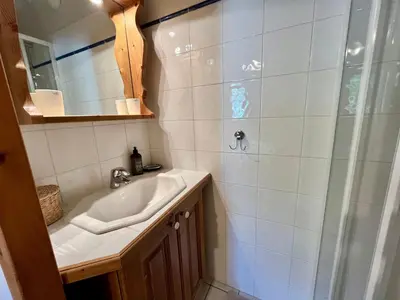 a bathroom with a sink and a shower at Superbe appartement au centre de Samoëns avec terrasse - FR-1-624-46 in Samoëns