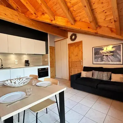 Charmant T2 en centre-ville avec balcon et animaux acceptés - FR-1-624-43