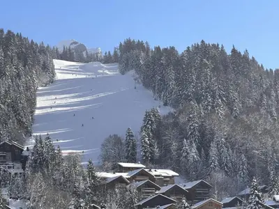 a ski resort with snow covered trees and a ski slope at Charme au centre d'Arâches : 2 pièces + coin montagne, 4/5 pers, proche pistes et commerces - FR-1-572-154 in Les Carroz d'Araches