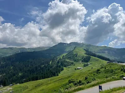 a view of a green mountain with a road at Appartement skis aux pieds, balcon, parking privé - FR-1-624-15 in Samoëns