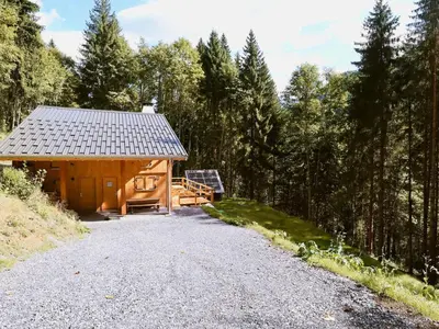 a cabin in the woods with a gravel road at Chalet moderne à Samoëns avec cheminée et terrasse - FR-1-624-5 in Samoëns