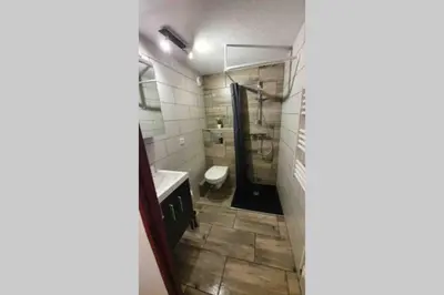 a bathroom with a shower and a sink and a toilet at Appartement l'Edel - Vue Massif Mont-Blanc in Saint-Gervais-les-Bains