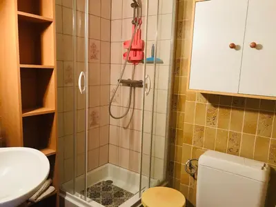a bathroom with a shower with a sink and a toilet at Studio pour 2 près du centre de Samoëns - FR-1-629-77 in Samoëns