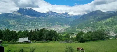 a cow grazing in a field with mountains in the background at Belle Vue de St Gervais in Saint-Gervais-les-Bains