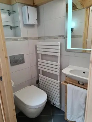 a small bathroom with a toilet and a sink at Chalet Cristal Trail in Chamonix-Mont-Blanc