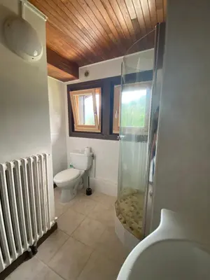 a bathroom with a shower and a toilet and a window at Logement mansardé dans maison avec jardin en bord de piste, vue montagne in Les Houches