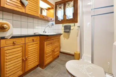 a small bathroom with a toilet and a sink at The Historic Chalet Les Allognes Mont-Blanc views in Les Houches