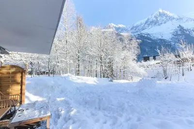 a snow covered yard with trees and a mountain at Violette de Cham - Jardin privé - Vue Mont Blanc in Chamonix-Mont-Blanc