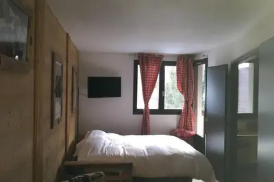 a bedroom with a bed and two windows at Charmant appartement, centre ville, vue Mont-Blanc in Chamonix-Mont-Blanc