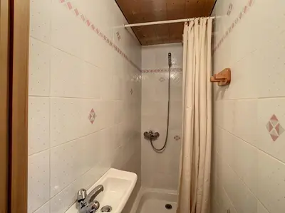 a bathroom with a sink and a shower at Duplex cosy à deux pas des pistes avec parking à Combloux - FR-1-560-80 in Combloux