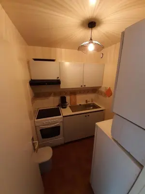 a small kitchen with a stove and a sink at Appartement avec terrasse centre samoens in Samoëns