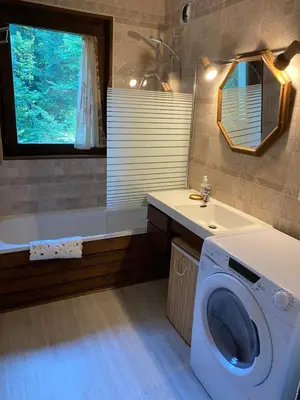 a bathroom with a washing machine and a sink at Loge des rêveurs in Les Carroz d'Araches