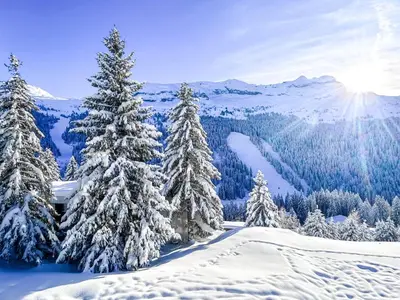 a group of snow covered trees on a snowy mountain at Next to the pistes, 1-bedroom family apartment in Flaine