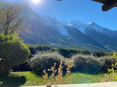 a view of a mountain range with bushes and trees at Appartement Chalet Les hauts du soleil in Chamonix-Mont-Blanc