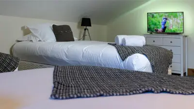 a bedroom with two beds and a tv on the wall at La Snaille des Planards in Chamonix-Mont-Blanc